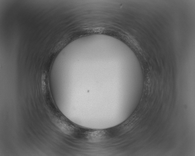 X0000082970122200702230017