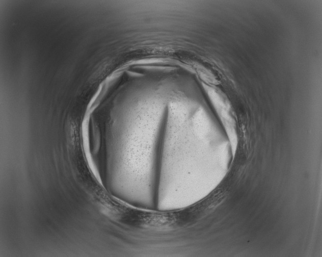 X0000082970123200702230017