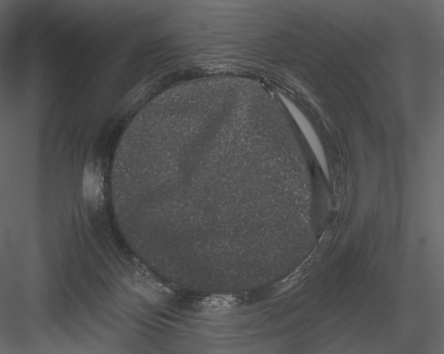 X0000082970124200702230017