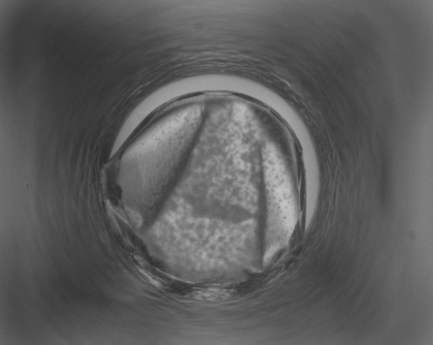 X0000082970125200702230017