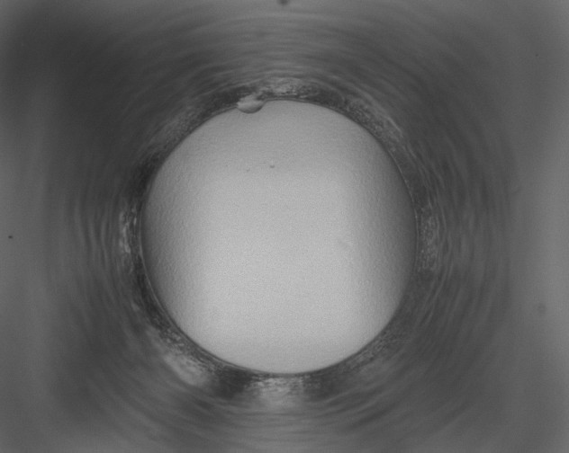 X0000082970126200702230017