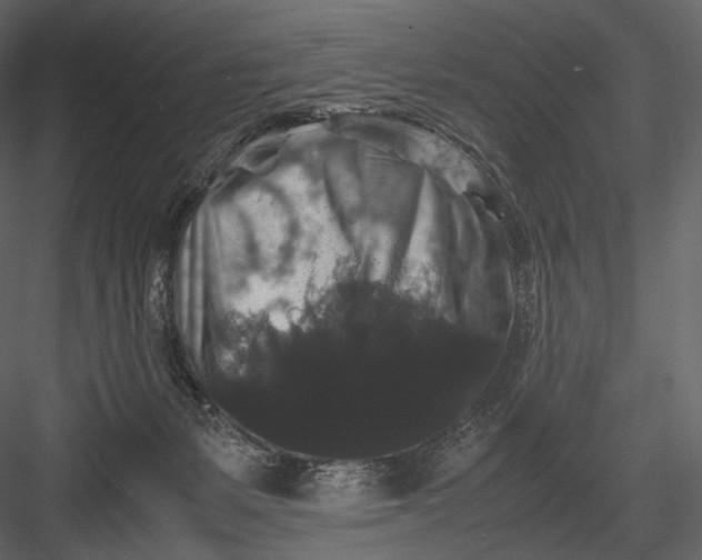 X0000082970127200702230017