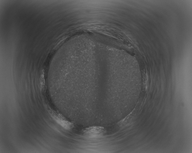 X0000082970128200702230017