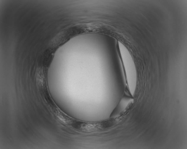 X0000082970129200702230017