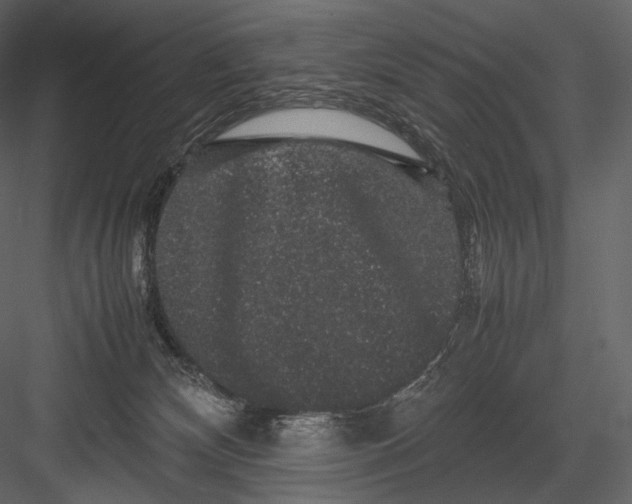 X0000082970132200702230017