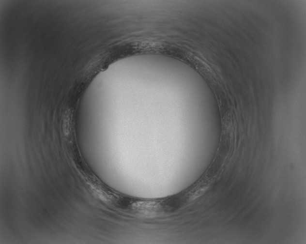 X0000082970133200702230017