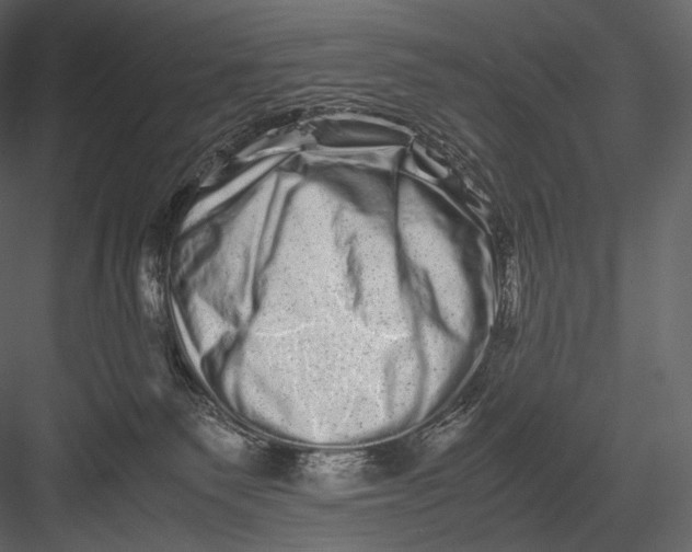 X0000082970135200702230017