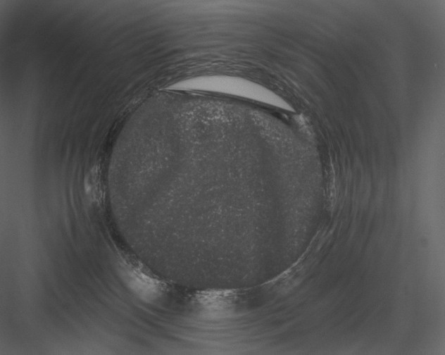 X0000082970136200702230017