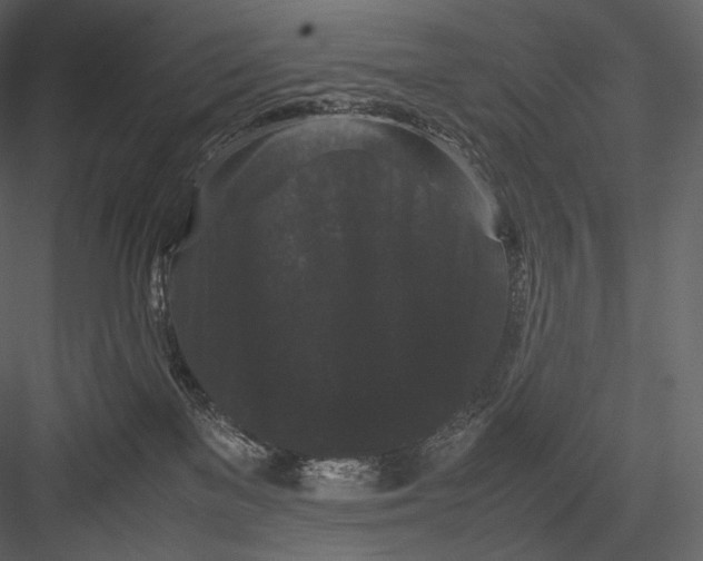 X0000082970137200702230017