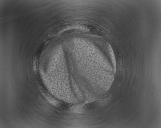 X0000082970138200702230017