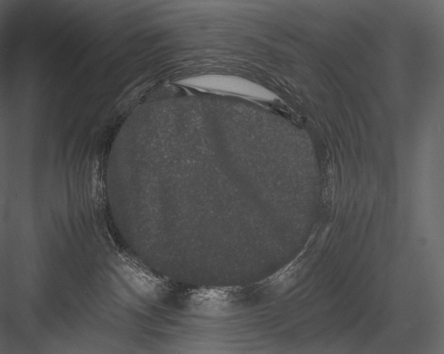 X0000082970140200702230017