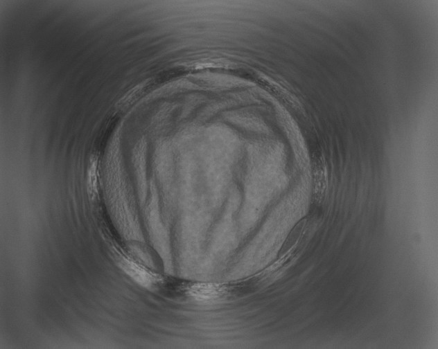 X0000082970142200702230017