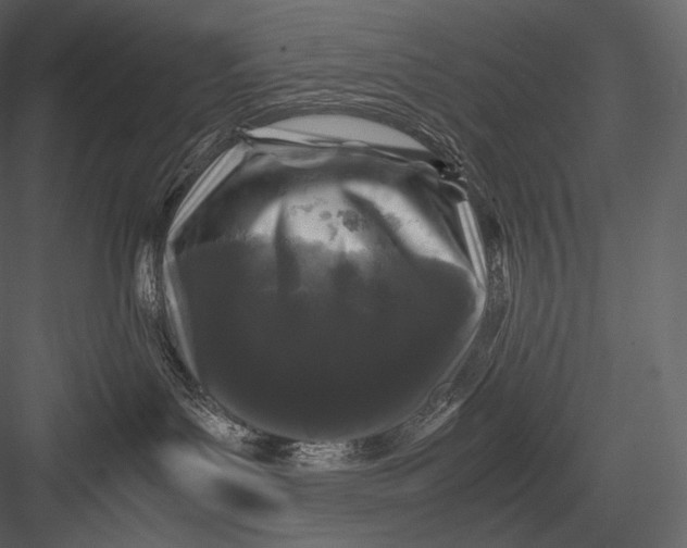 X0000082970143200702230017