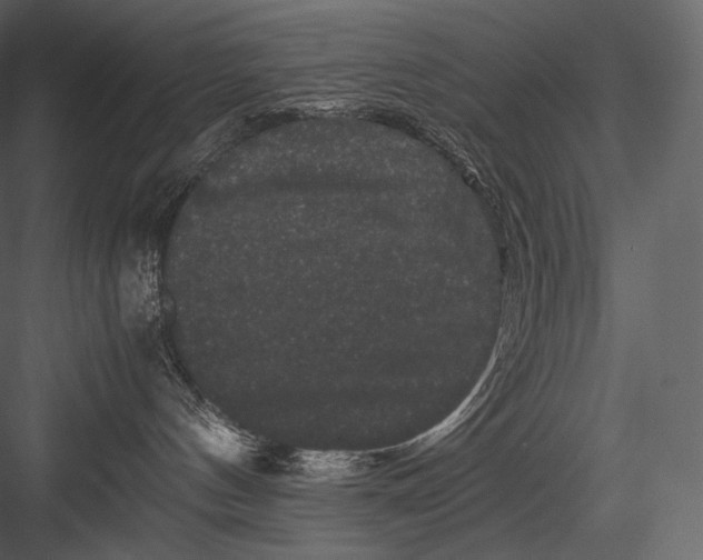 X0000082970144200702230017