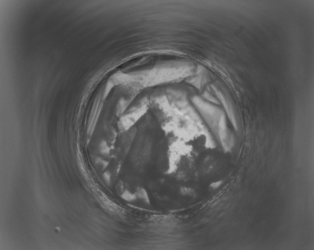 X0000082970145200702230016