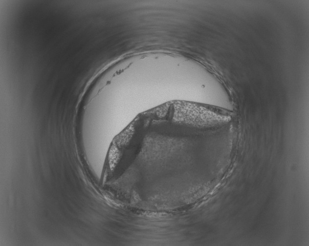 X0000082970146200702230016