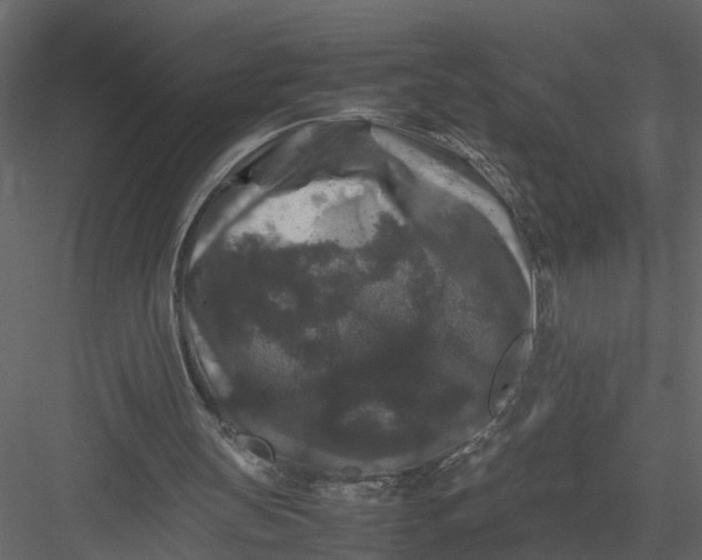 X0000082970147200702230016