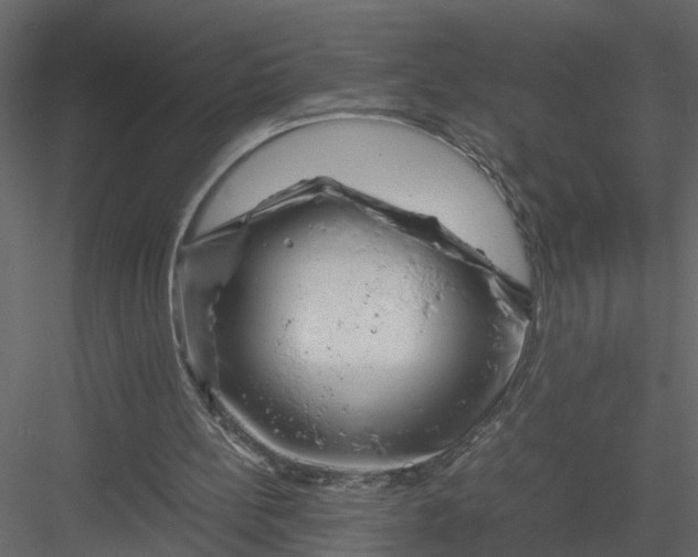 X0000082970148200702230016