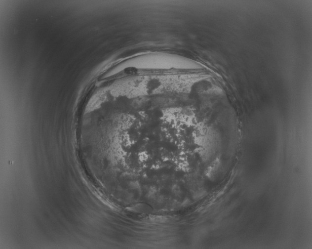 X0000082970149200702230016