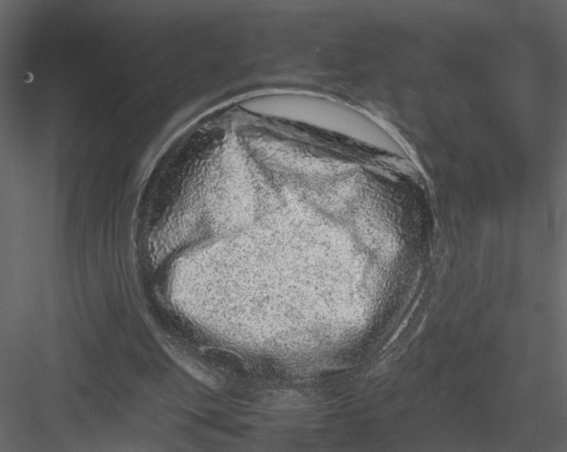 X0000082970151200702230016