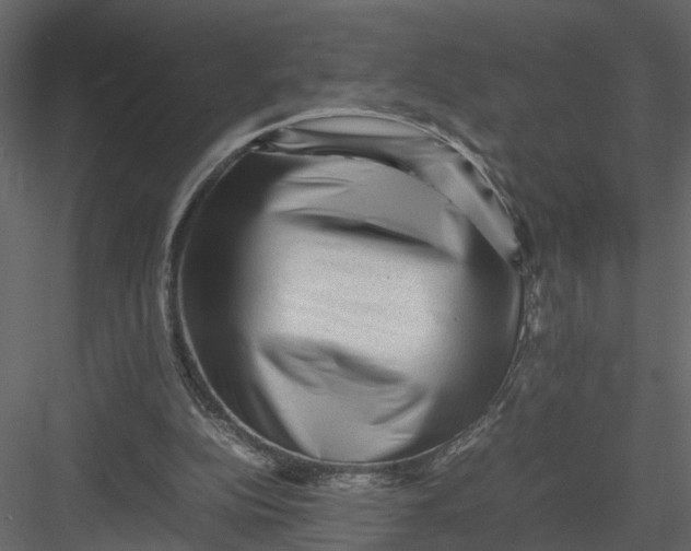 X0000082970152200702230016