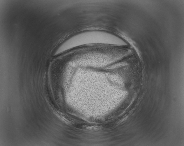 X0000082970153200702230016