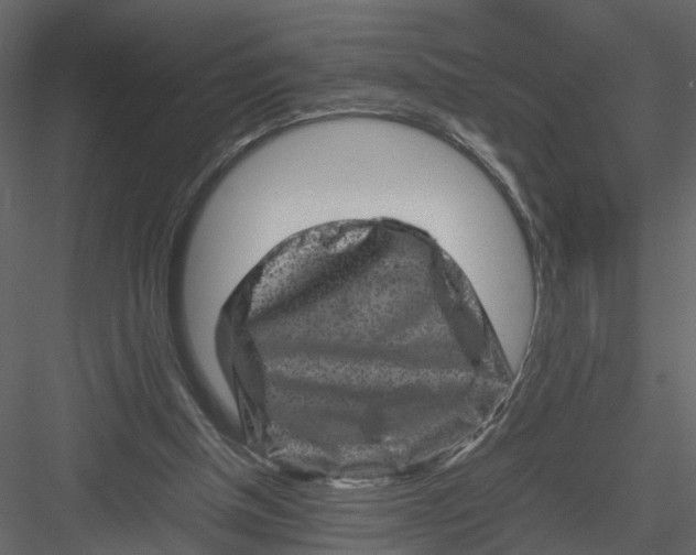 X0000082970154200702230016