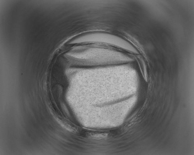 X0000082970155200702230016