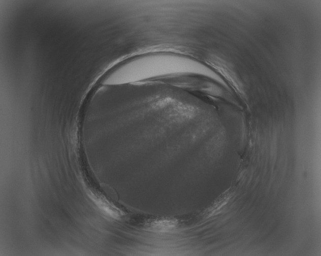 X0000082970156200702230016