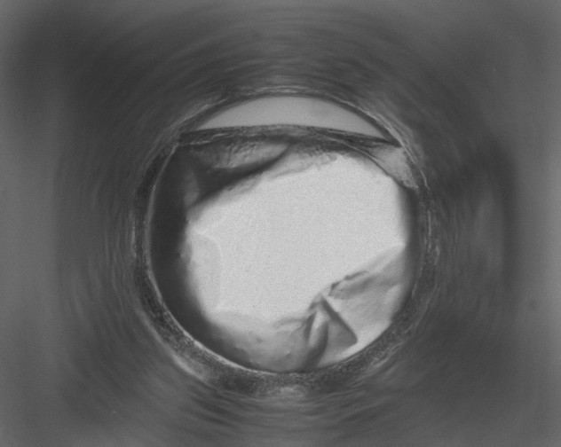 X0000082970157200702230016