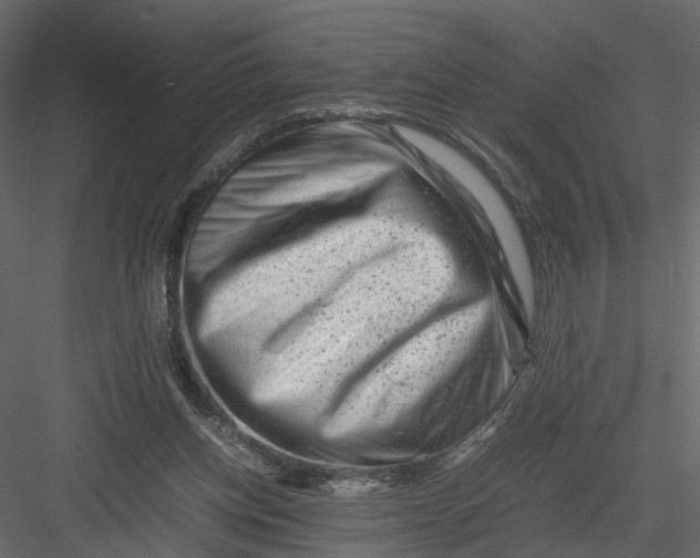 X0000082970158200702230016