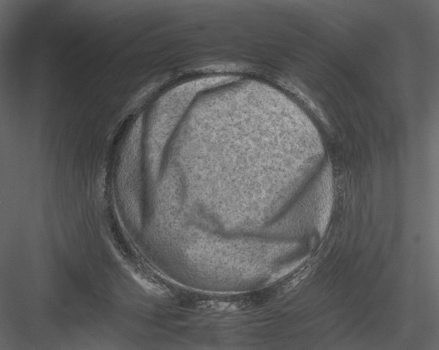 X0000082970159200702230016