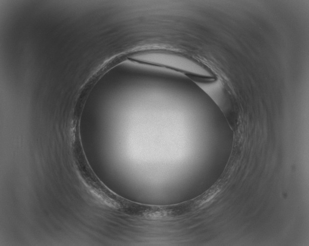 X0000082970160200702230016