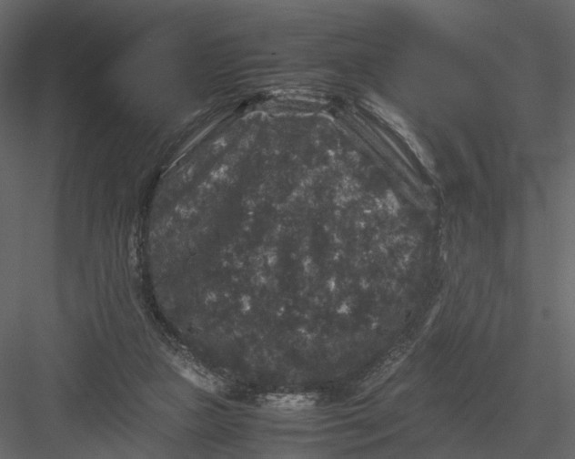 X0000082970161200702230016