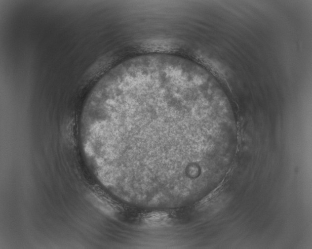 X0000082970162200702230016