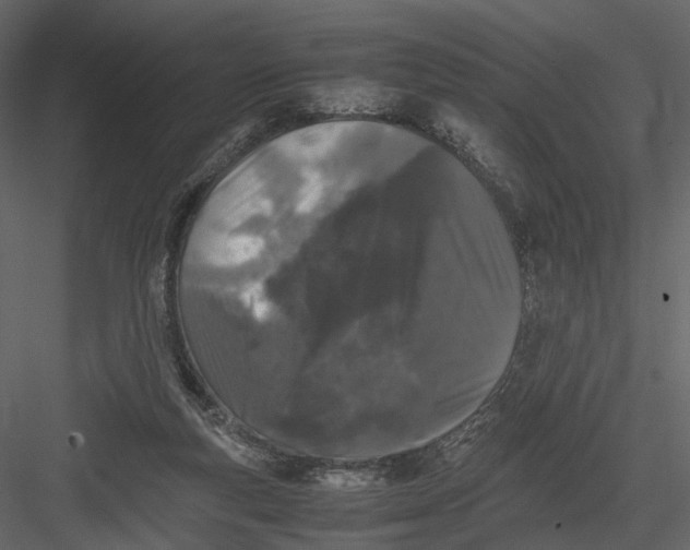 X0000082970163200702230016