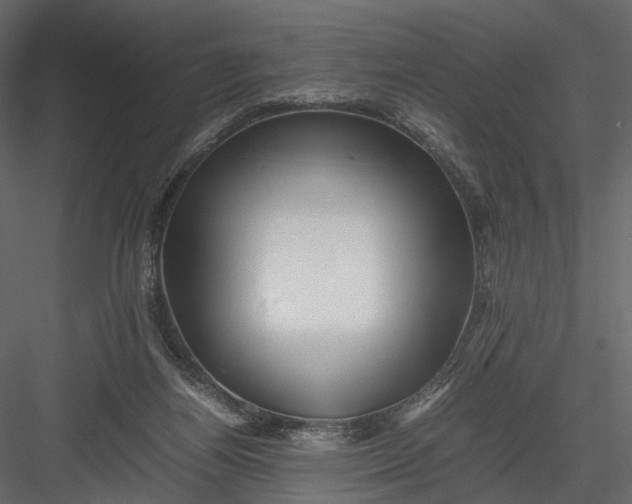 X0000082970164200702230016