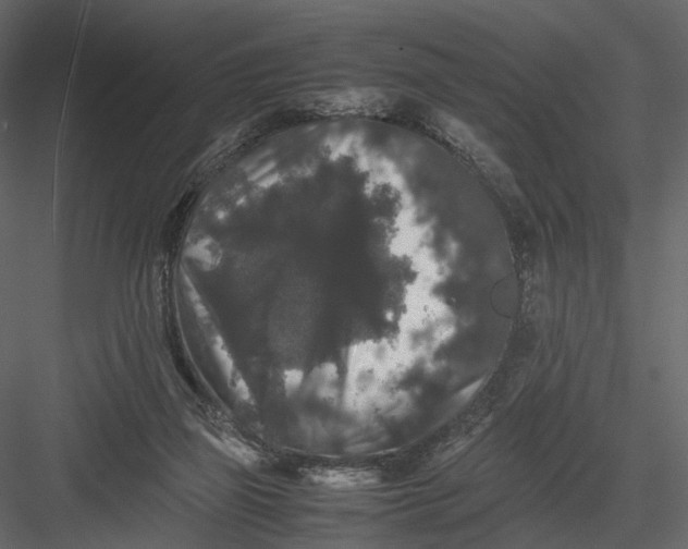 X0000082970165200702230016