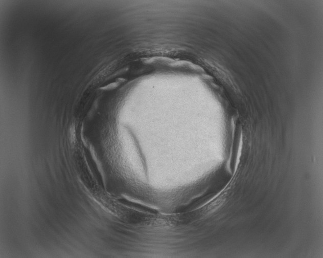 X0000082970166200702230016