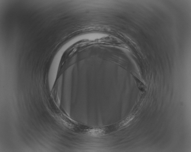 X0000082970168200702230016