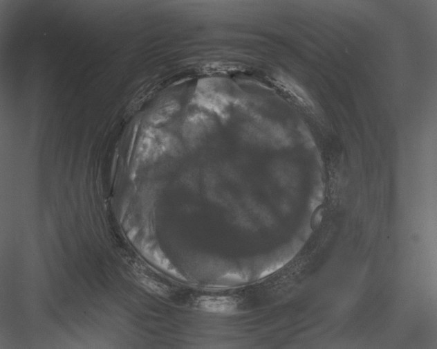 X0000082970169200702230016