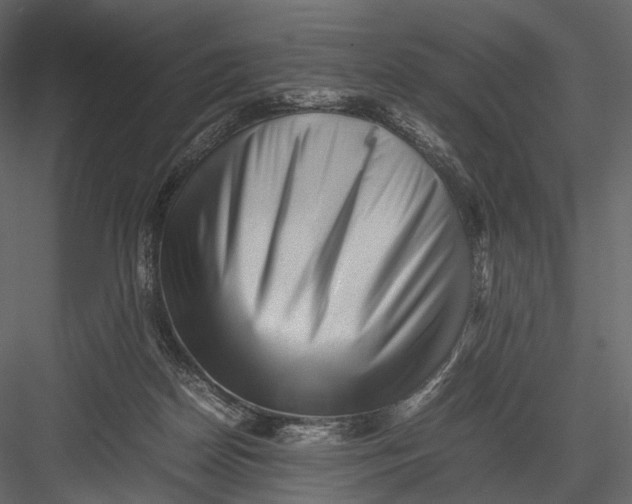 X0000082970170200702230016