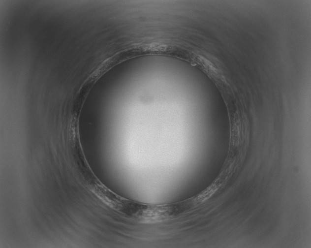 X0000082970172200702230016