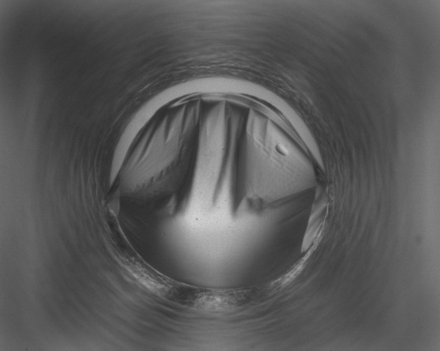 X0000082970174200702230016