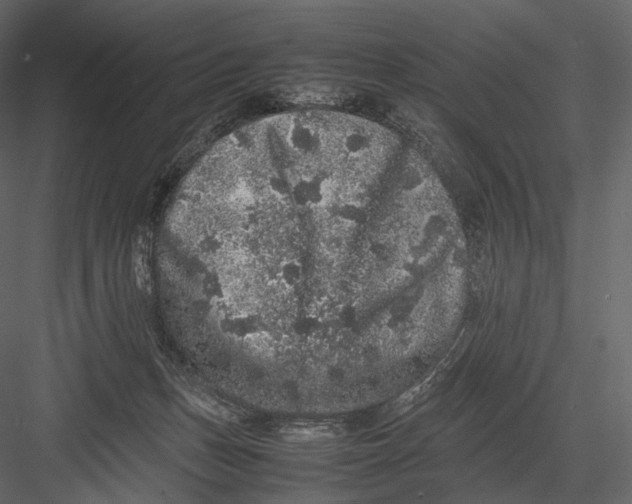 X0000082970175200702230016