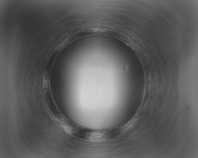 X0000082970176200702230016