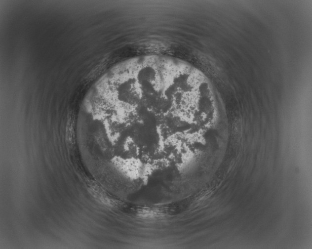 X0000082970177200702230016