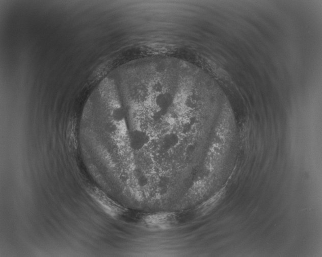 X0000082970178200702230016