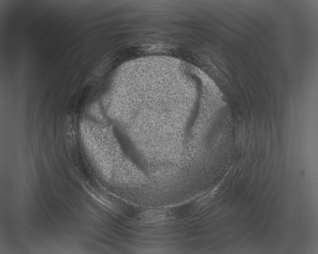 X0000082970179200702230016