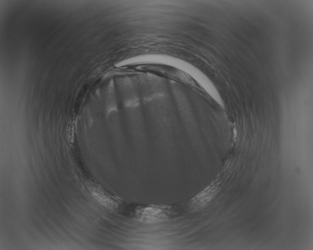 X0000082970180200702230016